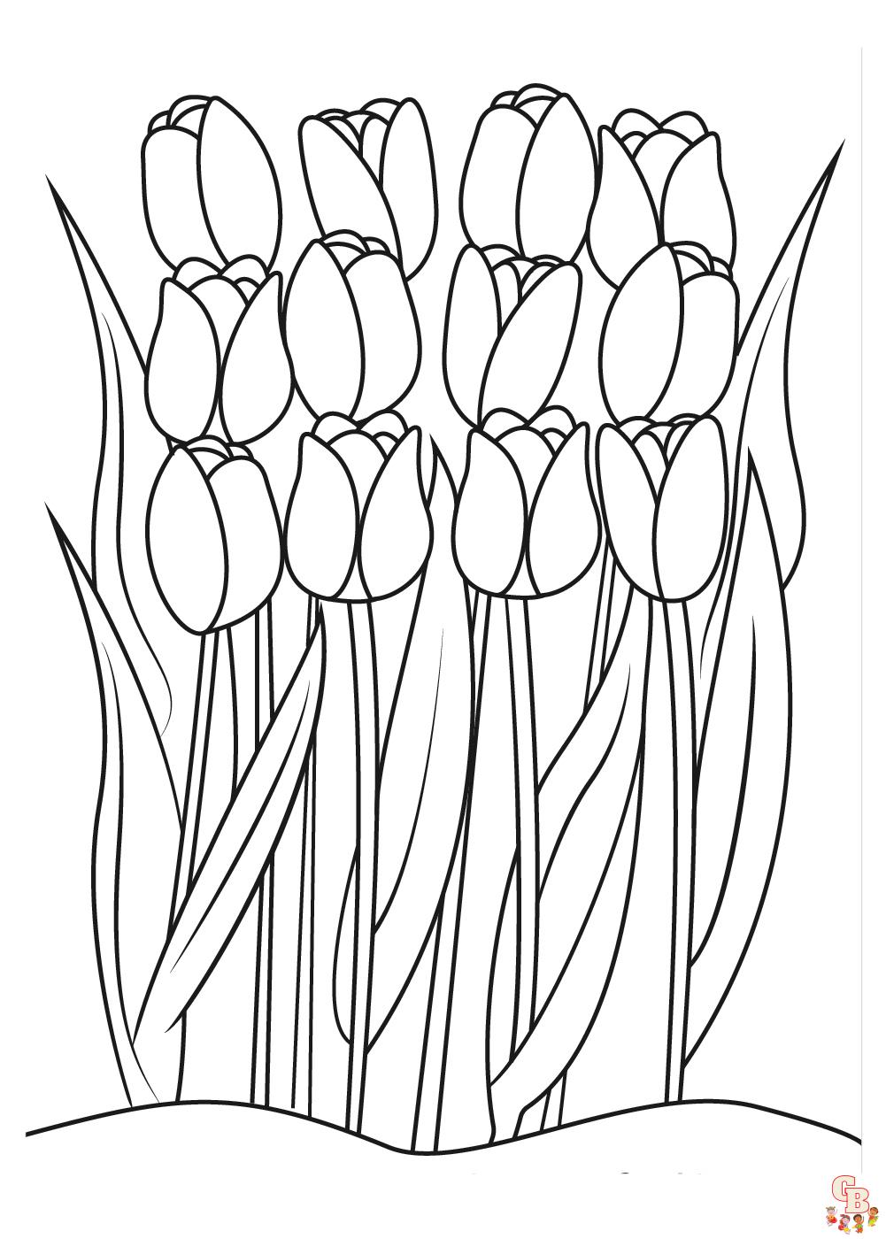 Tulpen Kleurplaat 13 1