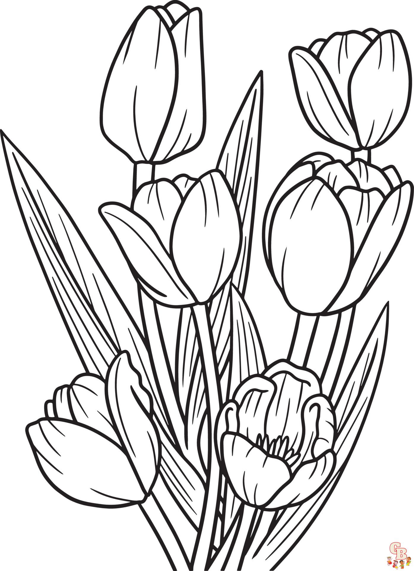 Tulpen Kleurplaat 19 1