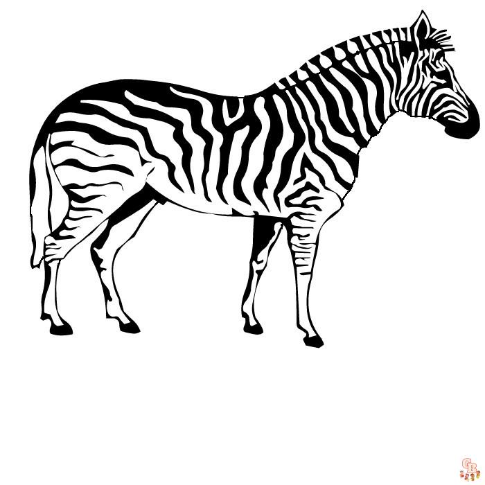 Zebra Kleurplaat 2