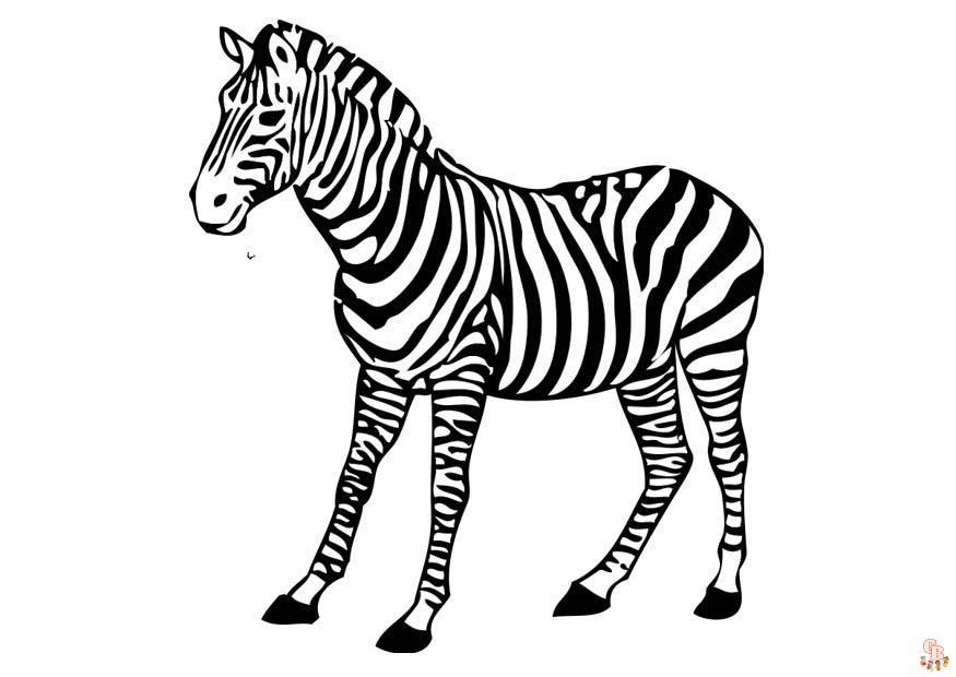 Zebra Kleurplaat 4