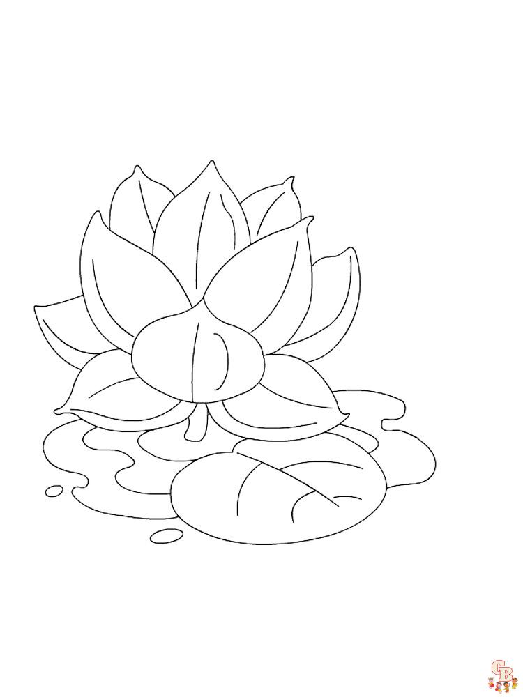 Lotus Coloring Pages 2