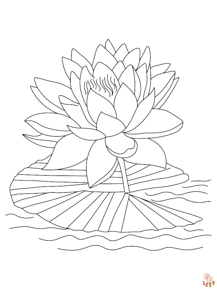 Lotus Coloring Pages 28