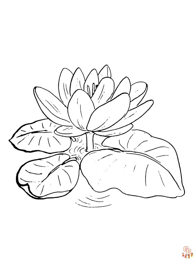 Lotus Coloring Pages 4